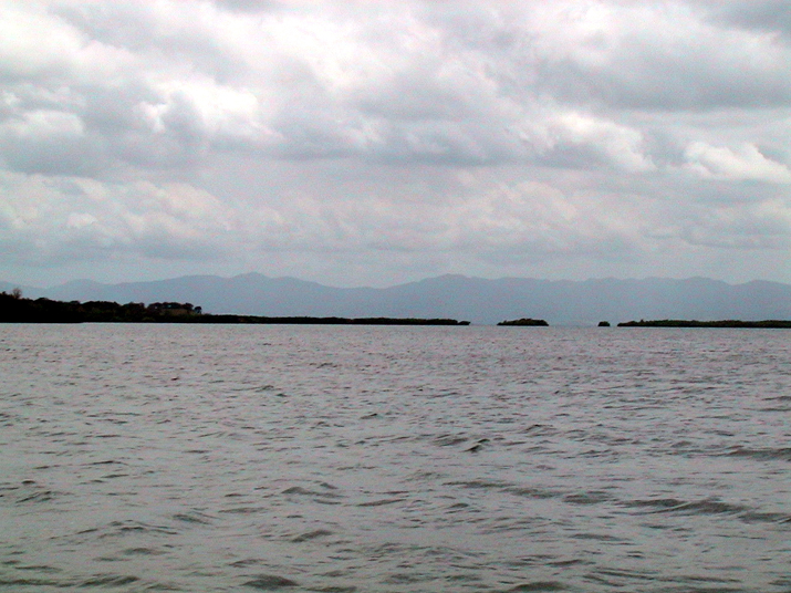 25 - Mangrove 069.jpg